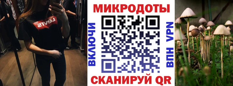 Галлюциногенные грибы ЛСД  Короча 